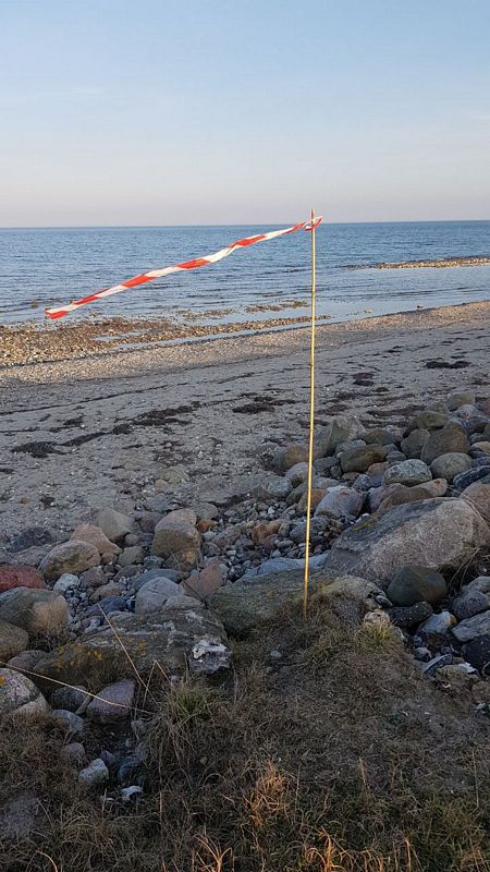 vergrämung 1