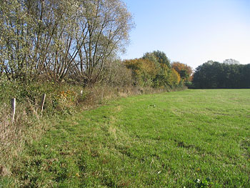 Entrohrung Kesdorf