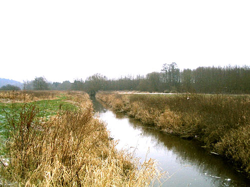 Schwartau bei Pansdorf im Dezember 2004   (Foto: A. Stoffer)