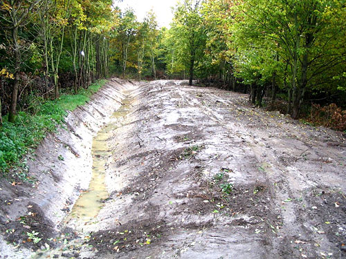 Neuer Verlauf des Gewässers unmittelbar nach der Fertigstellung Oktober 2005   (Foto: A. Stoffer)